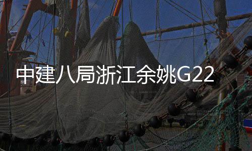 八局项目渡大郭姆余姚中建浙江龙桥合